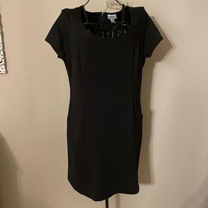 Ann Taylor Loft Dress